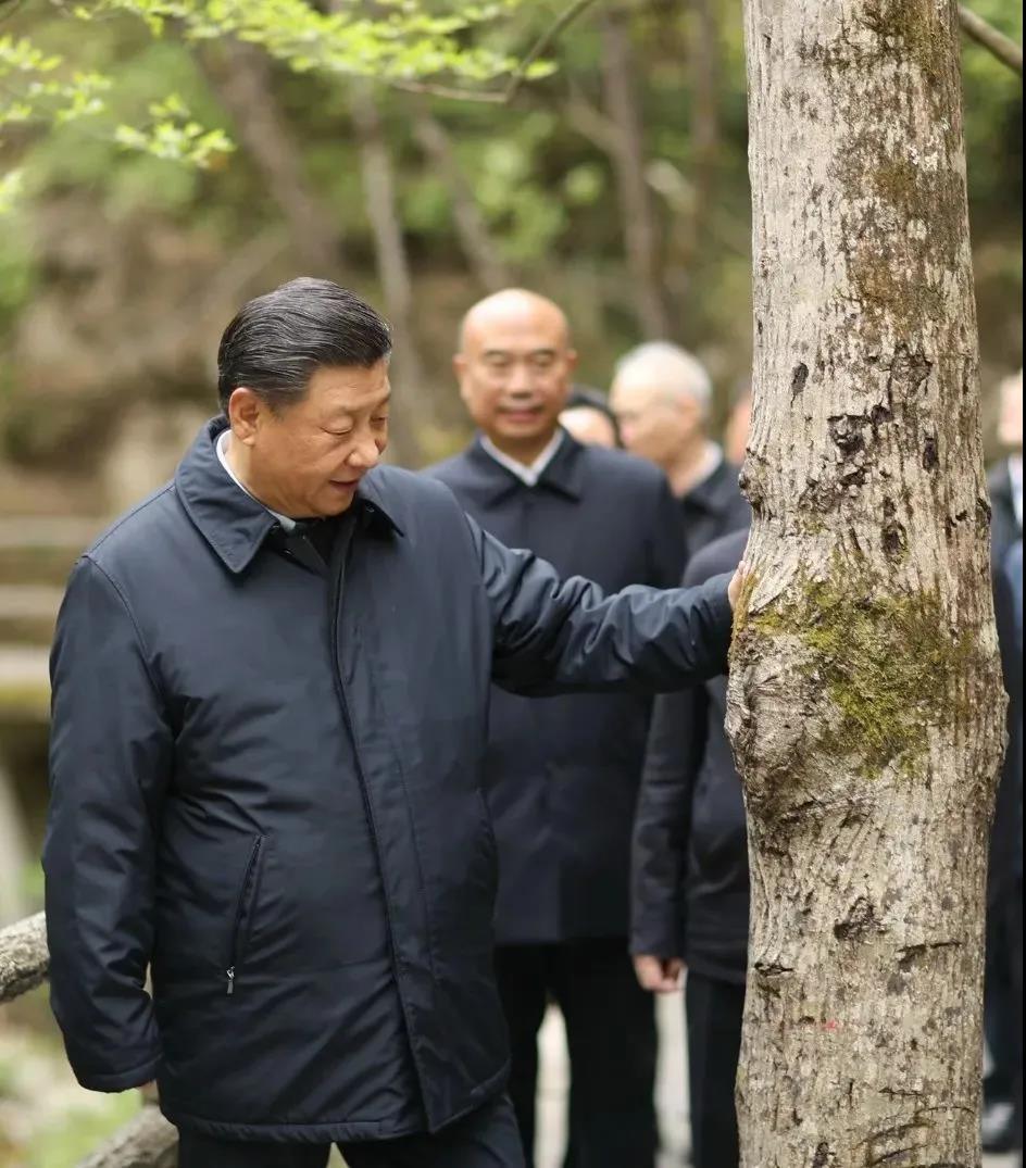 湖南綠楷節(jié)能環(huán)?？萍加邢薰?湖南土壤污染修復(fù),污水處理工程,農(nóng)業(yè)污染治理,環(huán)保工程